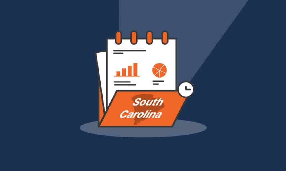 How to File an LLC Annual Report in South Carolina